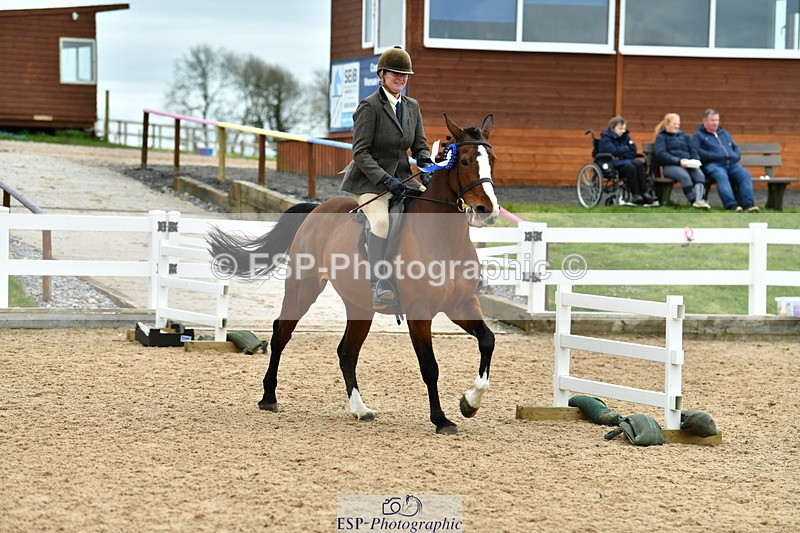 230416A-140125-04995 - Cls 60 Ridden Show Horse