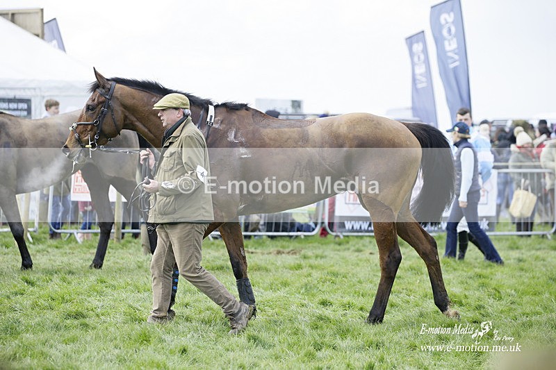PtP 060322 199 - Blackmore & Sparkford Vale Hunt PtP 06/03/22