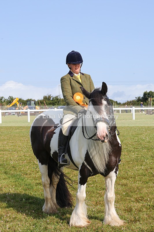 1X9A3410 - Class 28: Ridden Native/Trad Coloured Pony