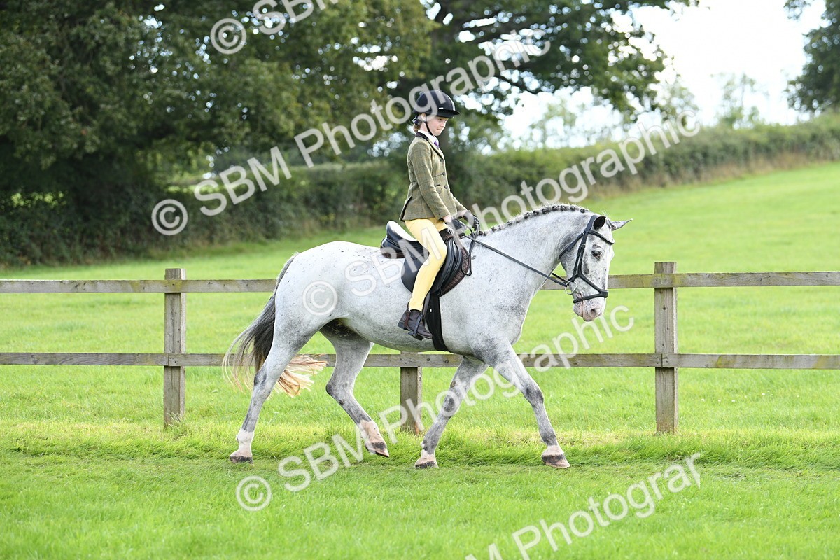SBM_46723 - S12 - Family Horse & Pony