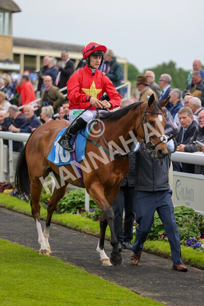 yr11052022r3-3 - Race 3 3.00pm 1895 Duke of York Clipper Logistics Stakes