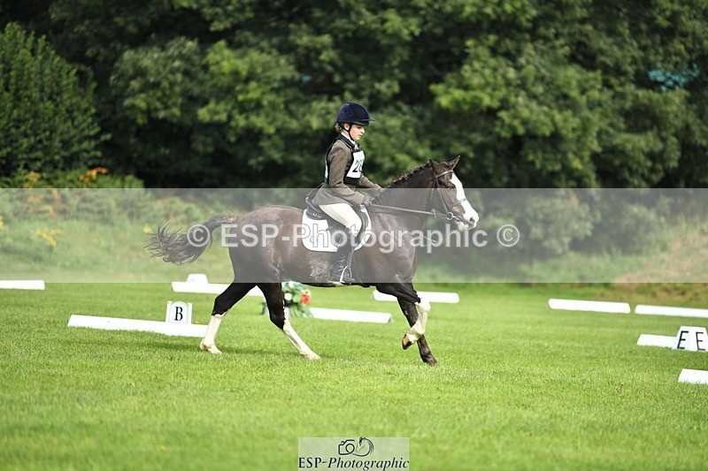 230826-100552-15360 - Sections C & D 9 to 10am