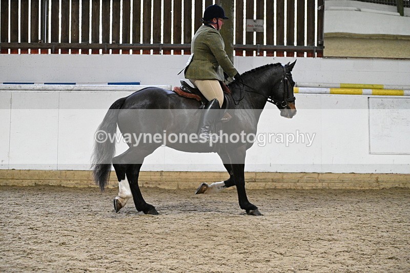 WJ7_3803 - Class 17 Ridden Cob