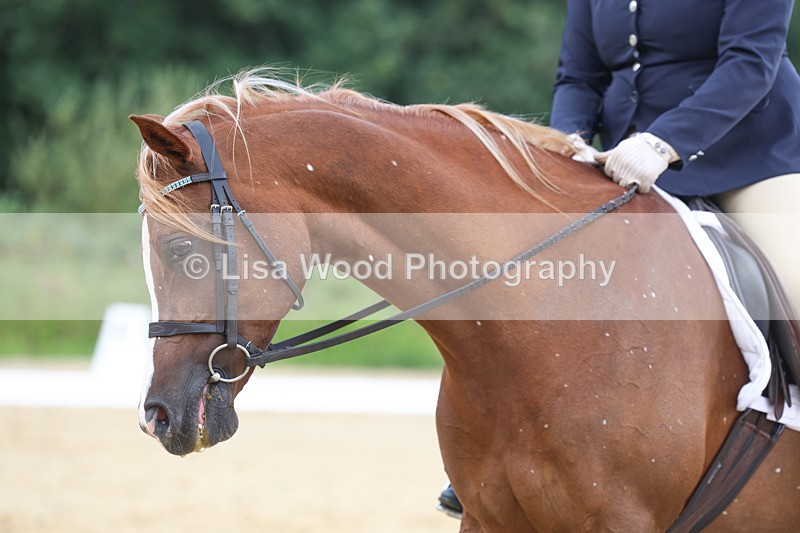 3E7A1928 - Class 1: Intro 4 2024 section A