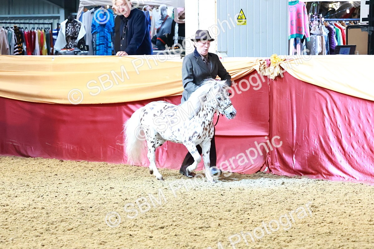 SBM_22453 - Class 902 - Supreme Final - IH Diamond