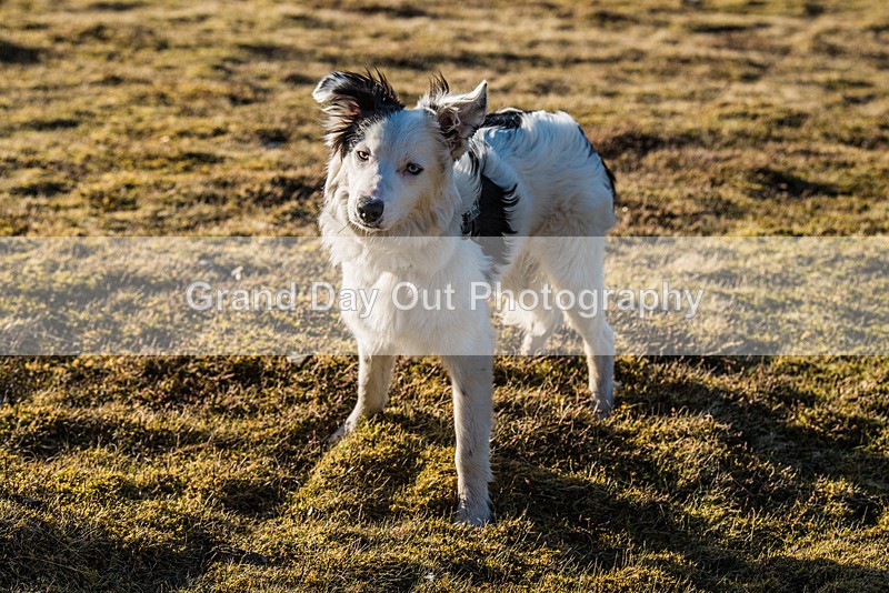 Grisedale-7 - Grisedale Grind Fell Race Wednesday 19th April 2023