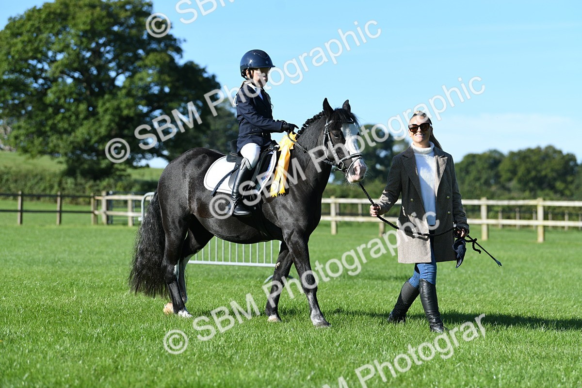 SBM_35526 - S17 - Condition & Turnout - Lead Rein