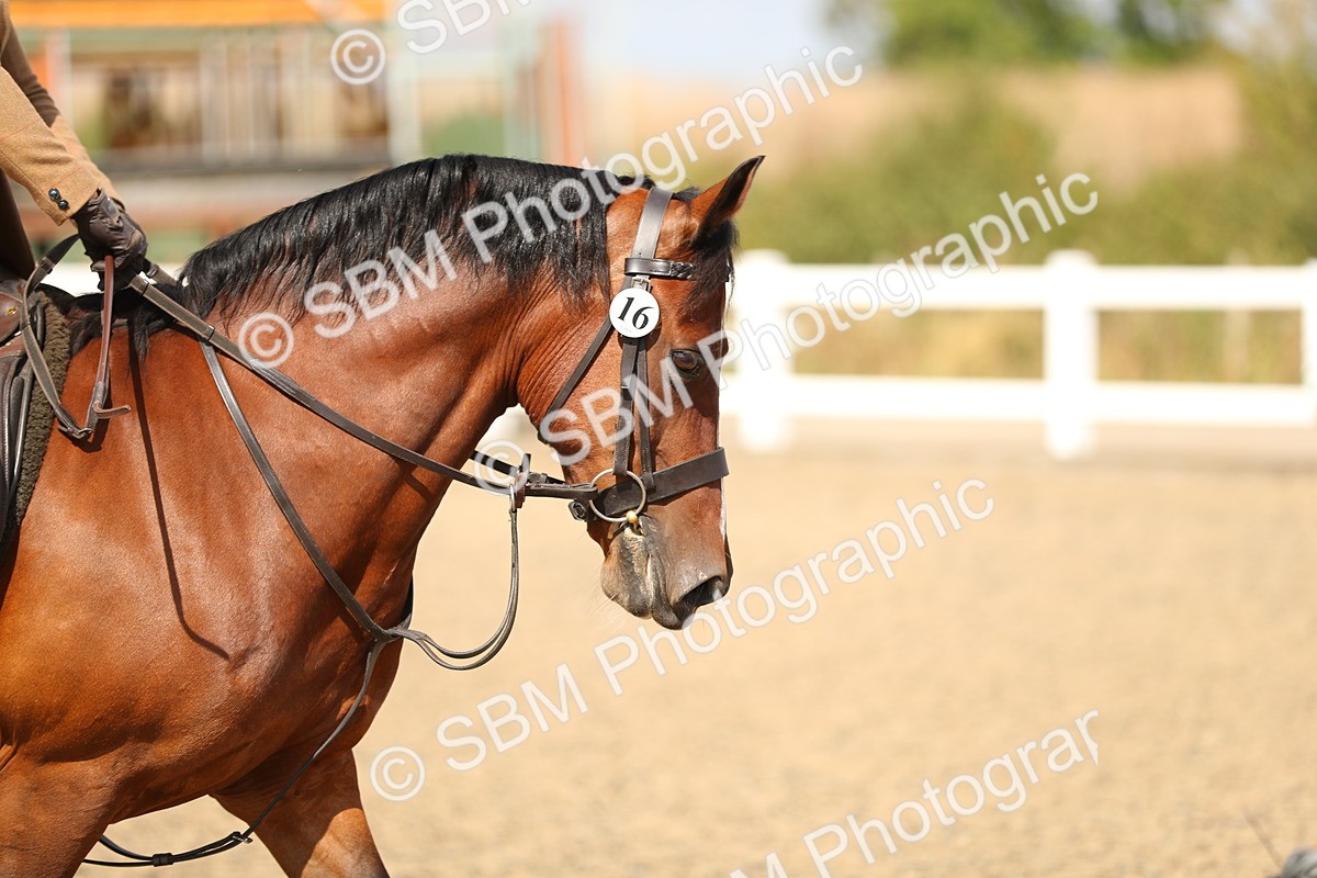 SBM_04210 - Class 46a Style & Performance 50cm (15-19)