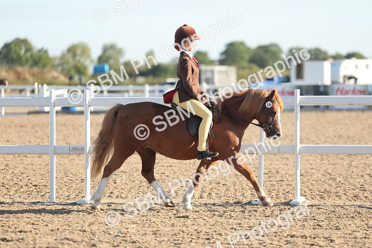 SBM_10900 - Class 301 - Ridden M&M Small Breeds