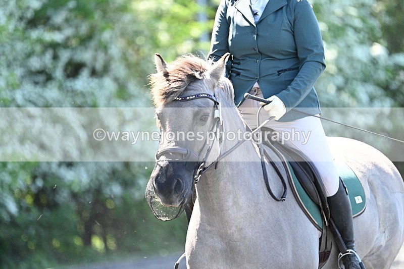 WJ7_9421 - Time 12:10 to 12:21