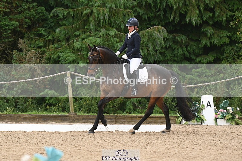 250720A-121510-10198 - 098-Becky.Littleton-Optical.Illusion