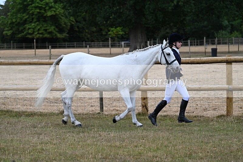 WJ7_8818 - Class 4a Prettiest Mare 14.2hh and over