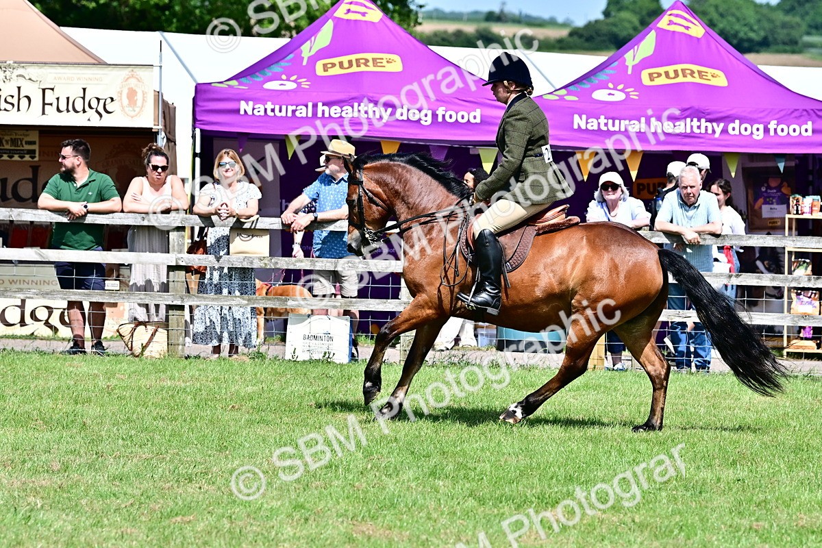 SBM_08013 - Class 61-62 - TSR  M&M Ridden Amateur of the Year