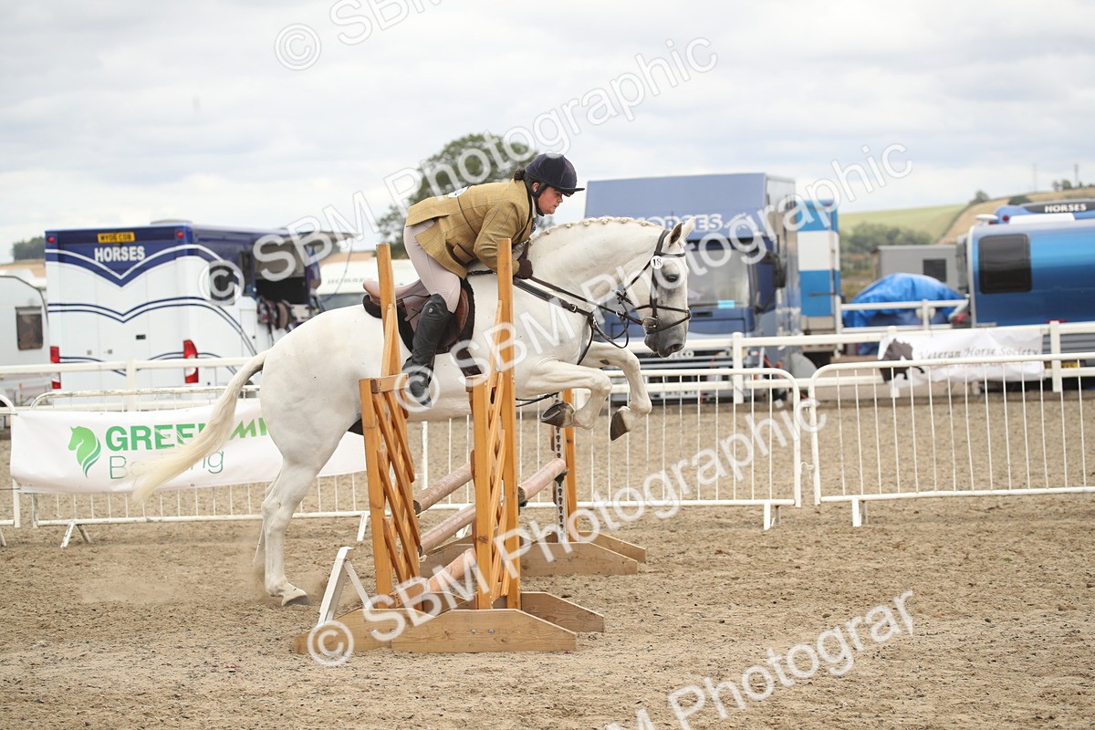 SBM_17698 - Class 508a - Working Veteran 70cm (15-19)