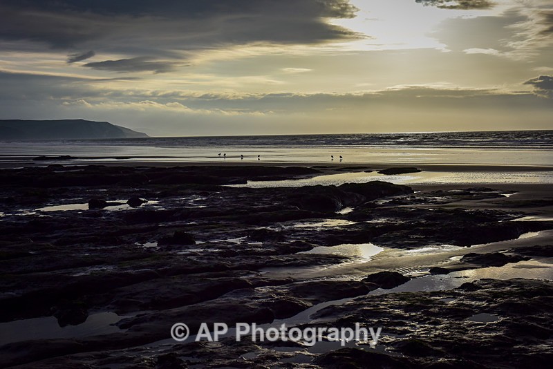 ACP_8986-1 - Ynyslas
