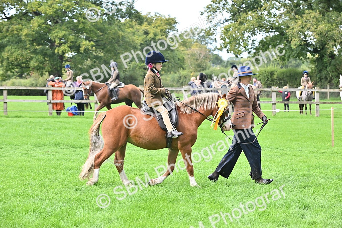 SBM_40170 - S20 - Lead Rein Mountain & Moorland Pony