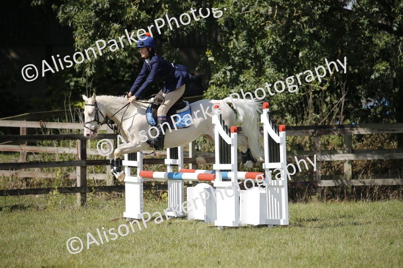 20250831-2207 - Class 4 - 80cm