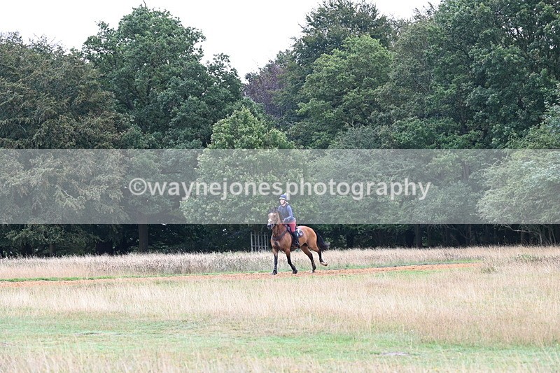 DSC_2396 - Time at Statue 12:34 to 12:56