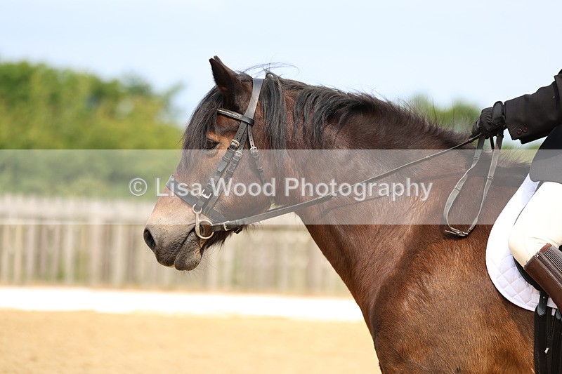 3E7A9039 - Class 1: Intro 1 2024 Section A