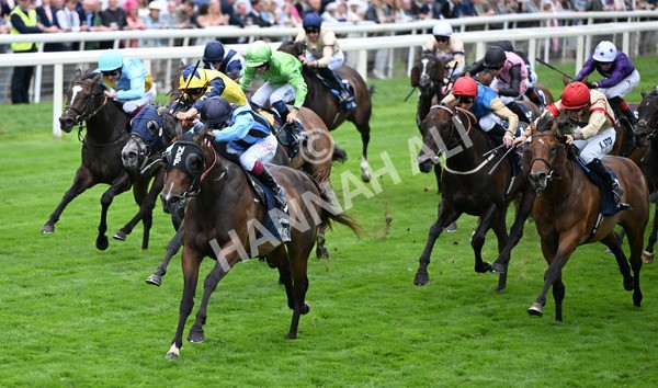 220825-139 Asfoora - Race 4 3.35pm Coolmore Wootton Bassett Nunthorpe Stakes