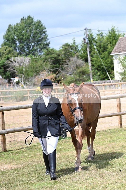 WJ7_1773 - Class 4a Prettiest Mare 14.2hh and over hand