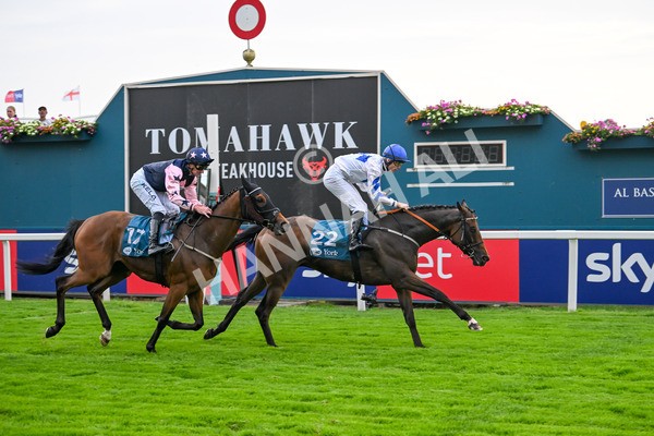 250725-Race 4-Dicko The Legend-5948 - Race 4 7.13pm Tomahawk Restaurants Handicap