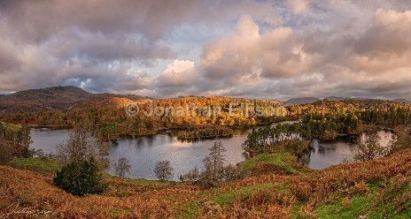 Tarn Hows - Lake District