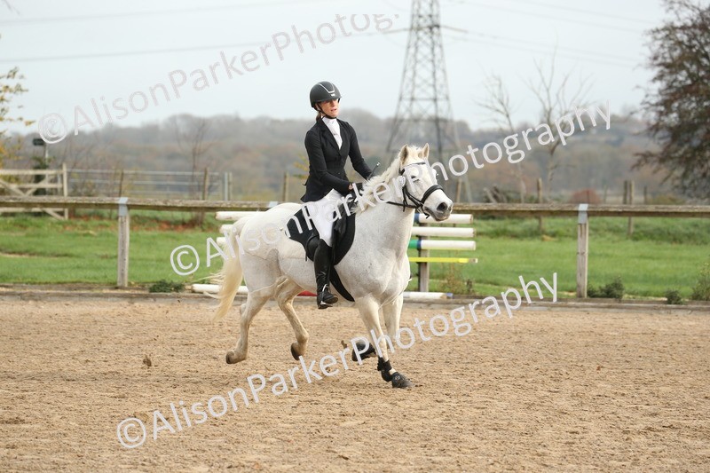 20251109-0687 - Class 3 - 80cm