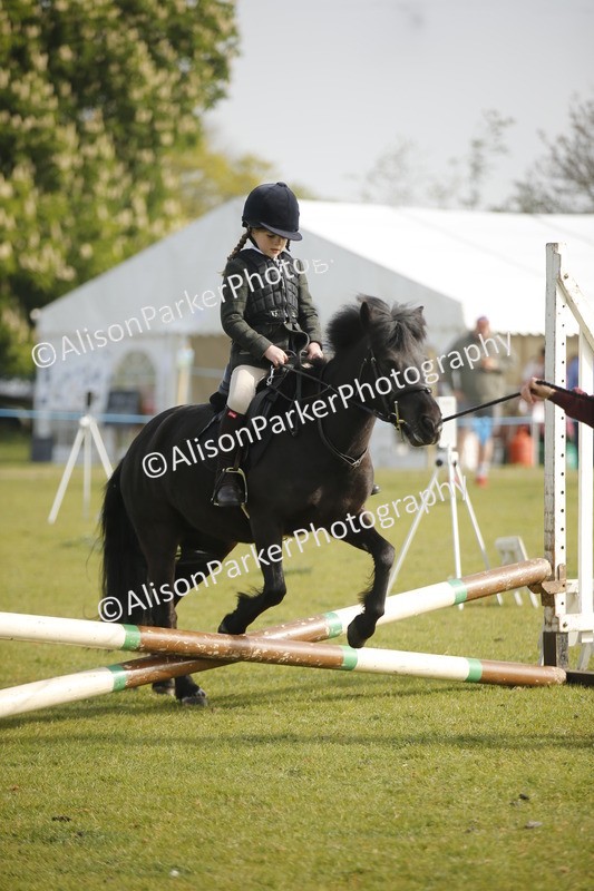 20260426-0982 - Class 1 - Mini Jumping - Lead rein or Assisted