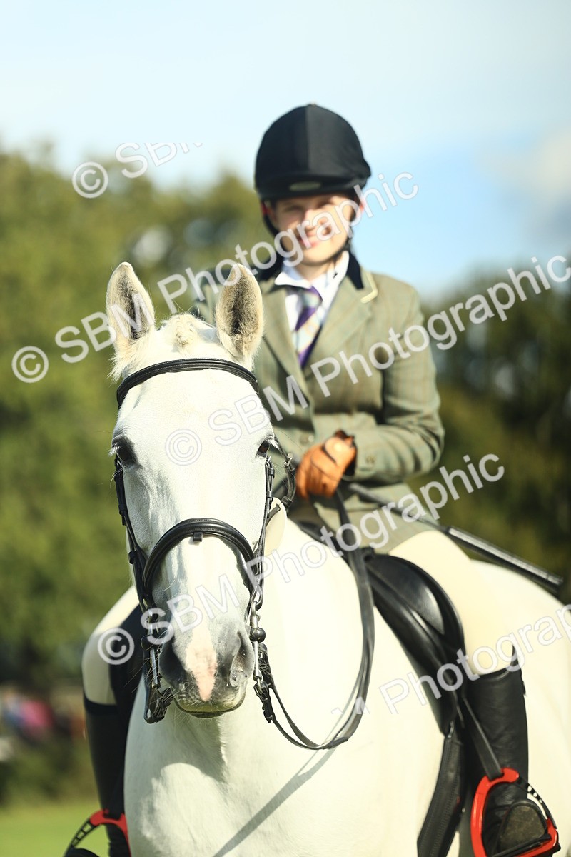 SBM_49887 - S32 - Novice & Newcomers Working Hunter