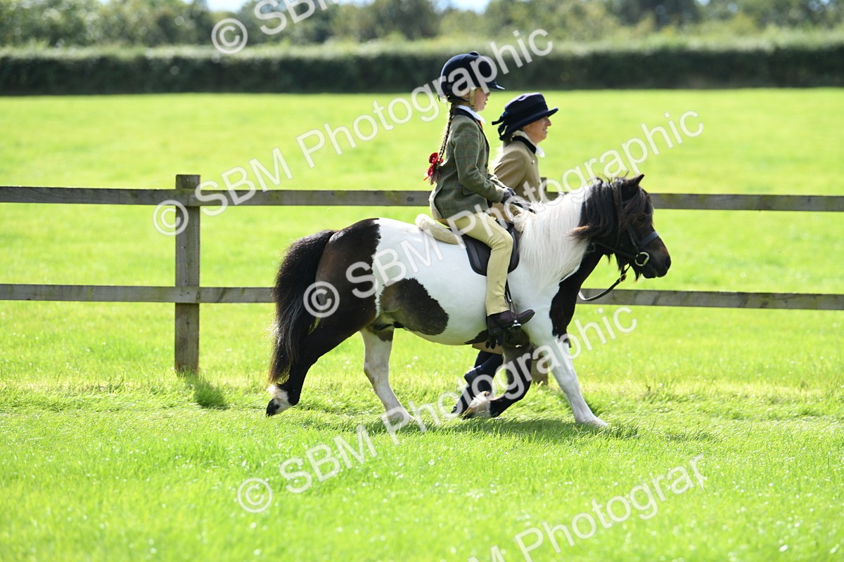 SBM_42519 - S20 - Lead Rein Mountain & Moorland Pony
