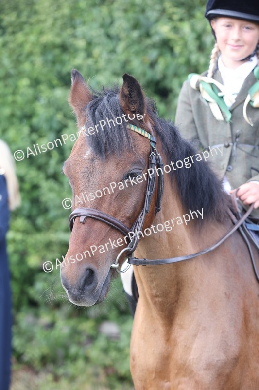 20250831-1097 - Class 15 - Ridden Veteran