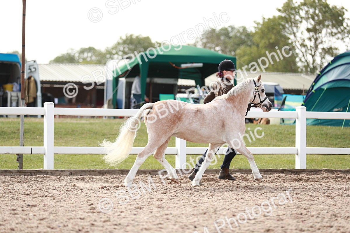 SBM_13895 - Class 209 IH Veteran Pony