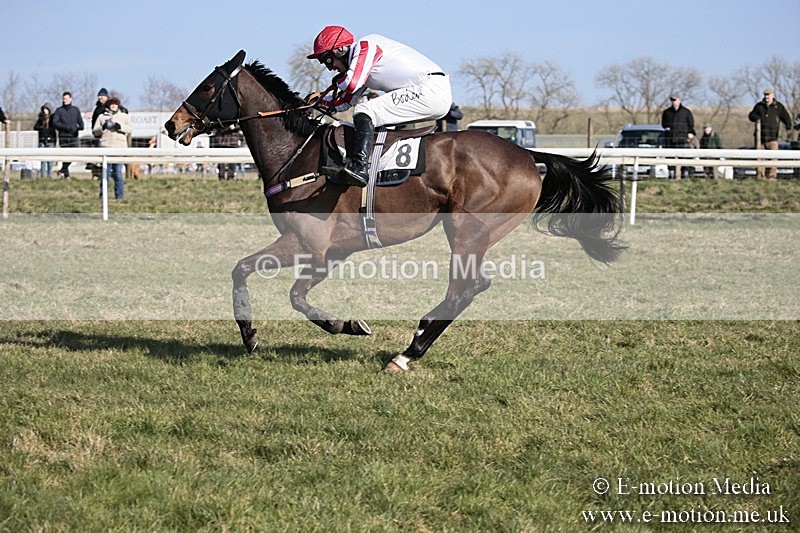 PtP 240218 176 - Vine & Craven Hunt Point-to-Point Barbury racecourse 24/02/18