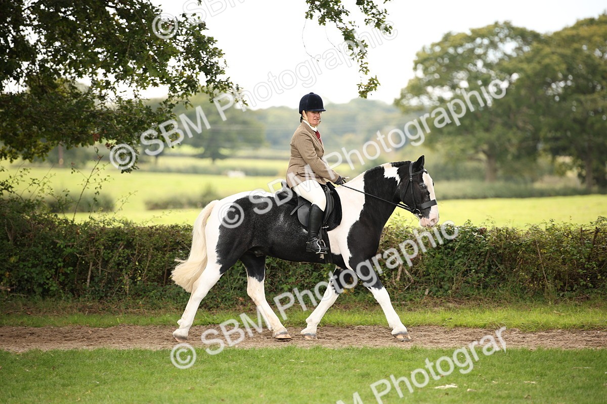 SBM_72355 - S67 - Show Cob Ridden
