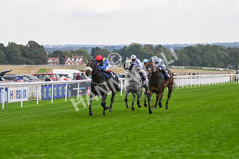 240924-Race 4-Tees Spirit-6230 - Race 4