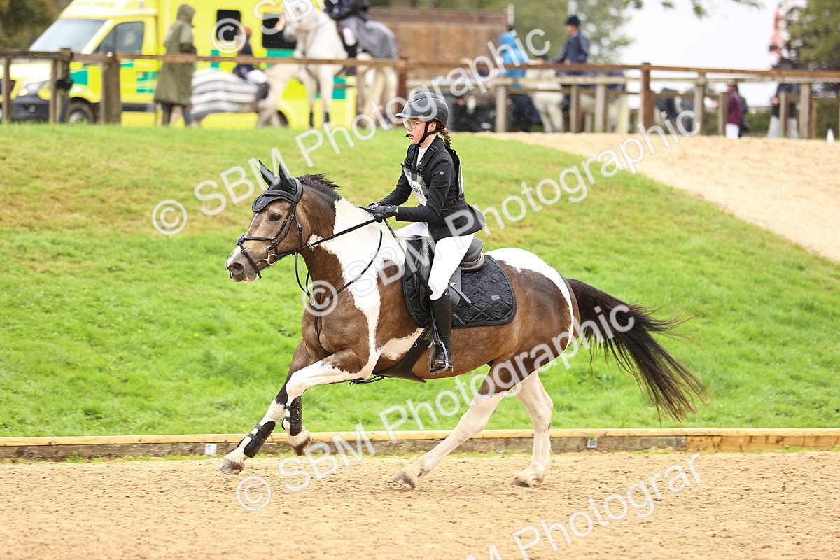 SBM_70006 - Supreme Championship 80cm 85cm