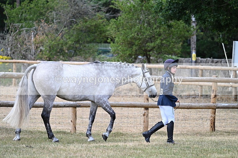 WJ7_1814 - Class 4a Prettiest Mare 14.2hh and over hand