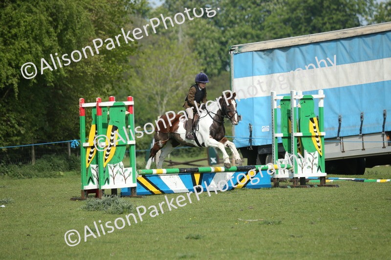 20260426-0235 - Class 13 - Rookie Jumping 50cm