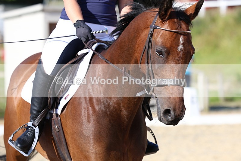 3E7A3579 - Class 2: Intro 1 2024 Section B