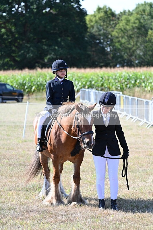 WJ7_3168 - Class 8 Ridden Tack & Turnout