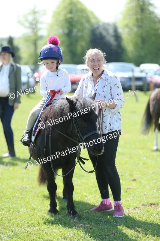 20250427-2744 - Class 6 - Pony Judge Would Most Like To Take Home