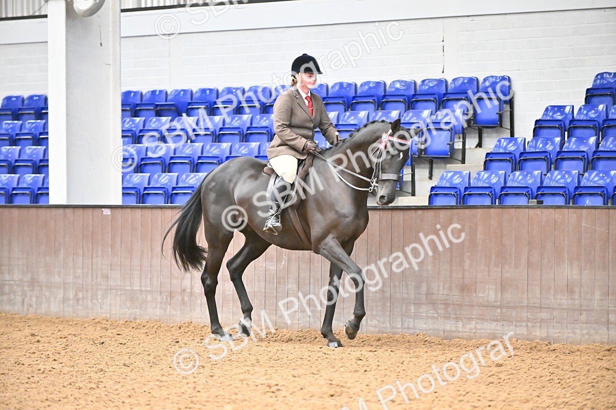 SBM_001869 - Class 25 - Tattersalls ROR Amateur Ridden
