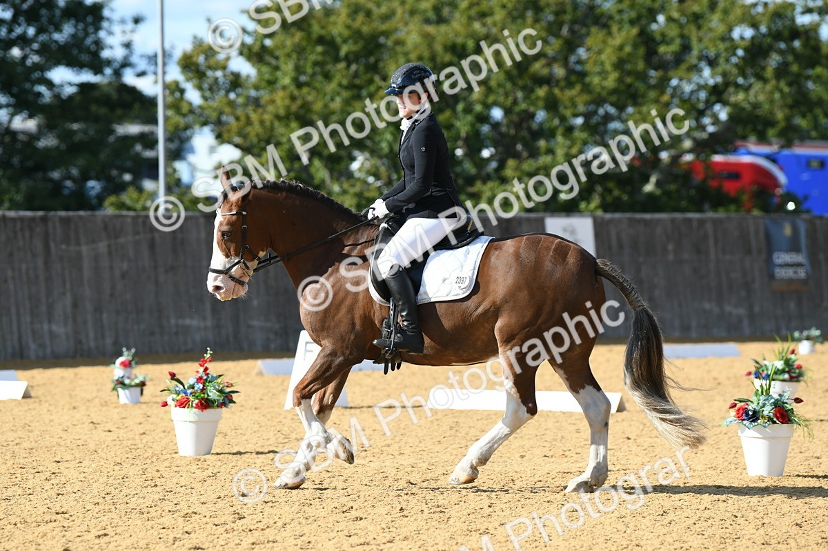 SBM_27110 - D16 - Small Tour Championship - Novice 28