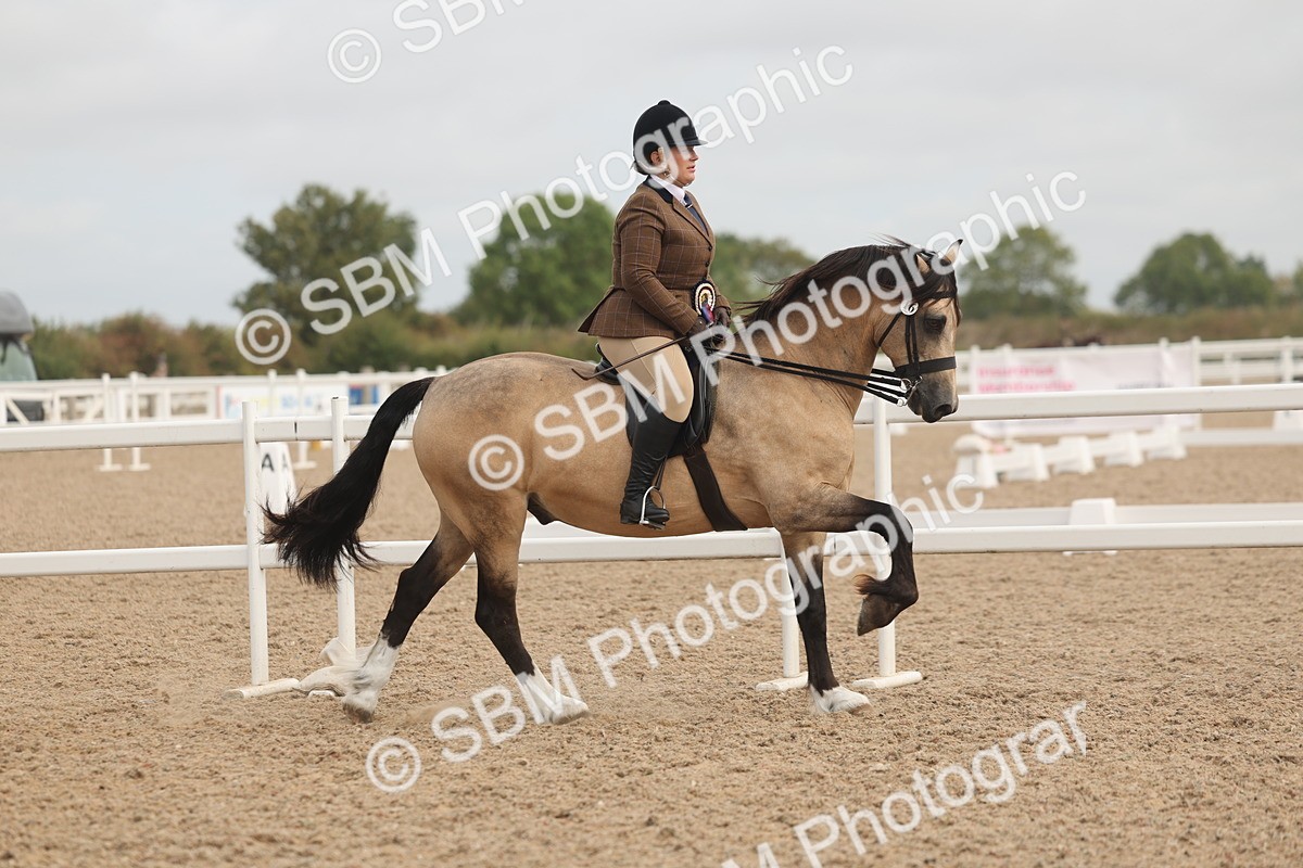 SBM_02048 - Class 14 - Ridden M&M Wildcard