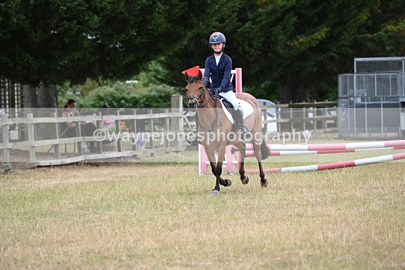 WJ6_9986 - Class 13 Novice Jumping 60cm