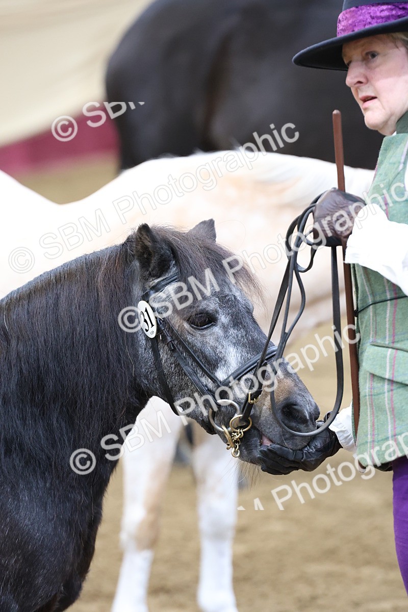 SBM_21847 - Class 901 - Supreme Final - IH  Diamond