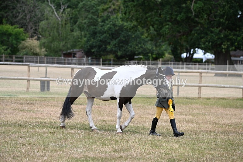 WJ6_4559 - Class 10 Coloured In-hand