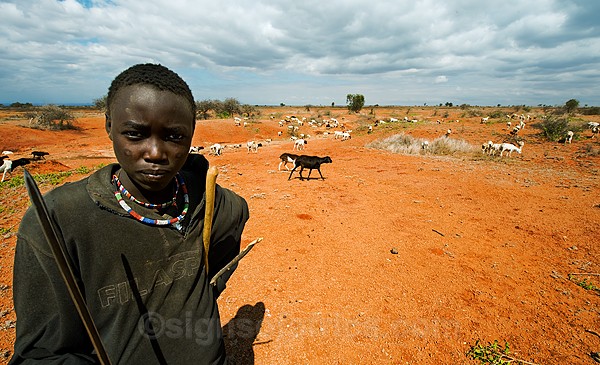 Drought Kenya, Maasai Herder