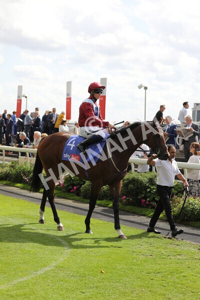 yr20082022r3-4 - Race 3 3.00pm Sky Bet City of York Stakes